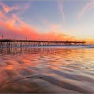 Meet your Posher, Zoey